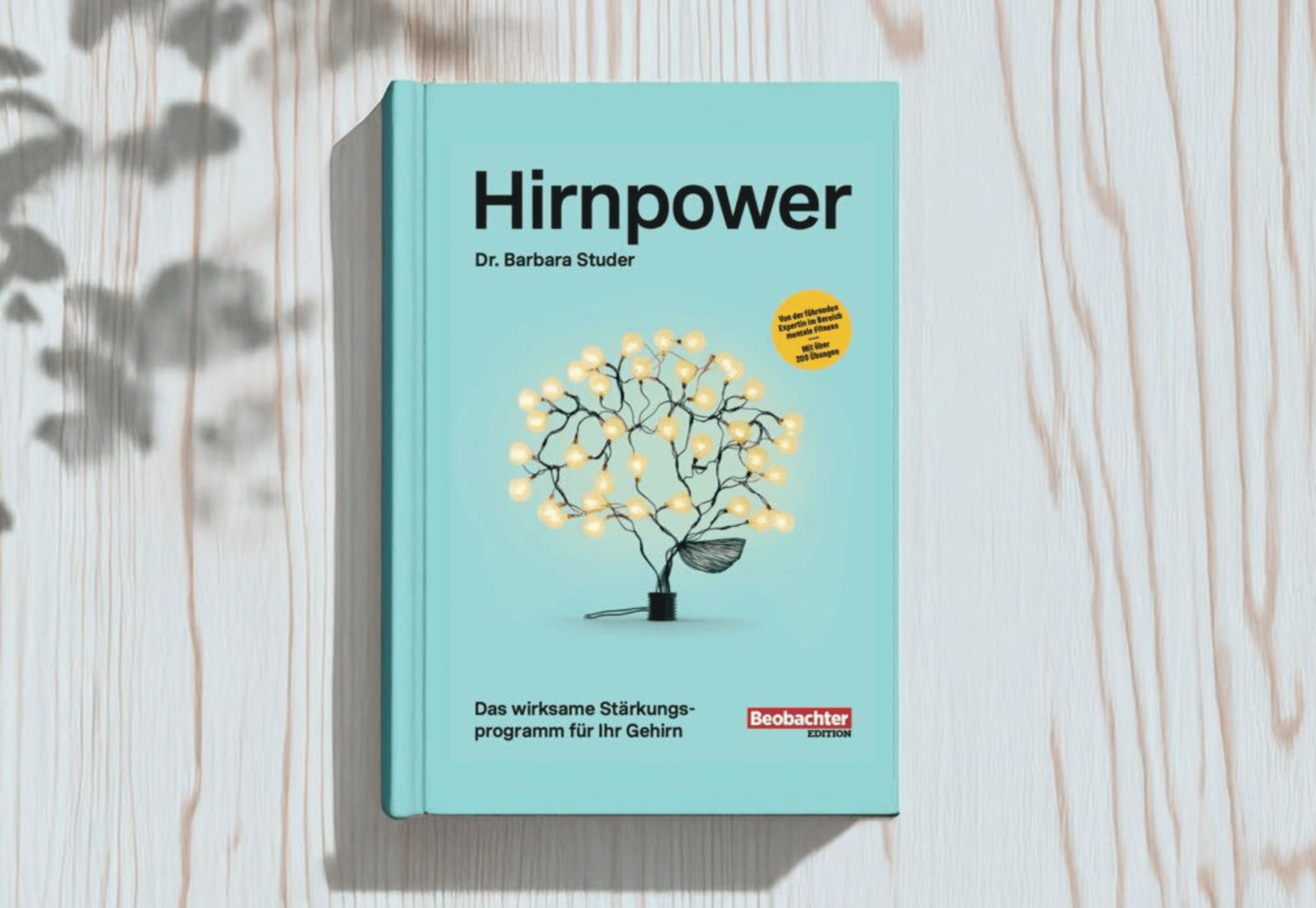 HelloQ3 - Hirnpower